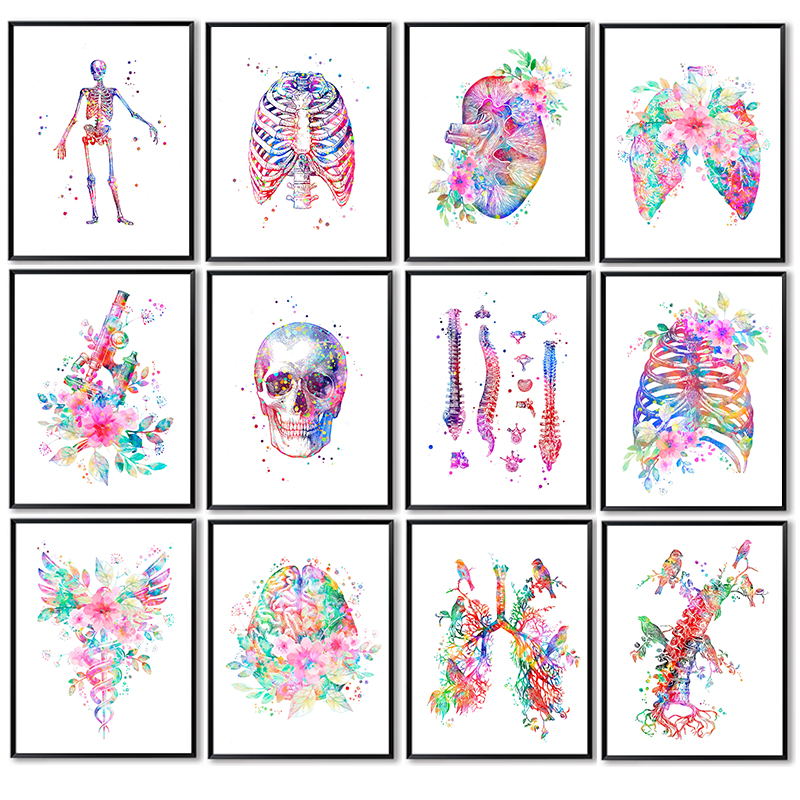 Unframe Anatomy Medical Poster - огляд і ціна Medical Lab